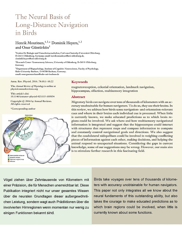 Biopsychologie 2016