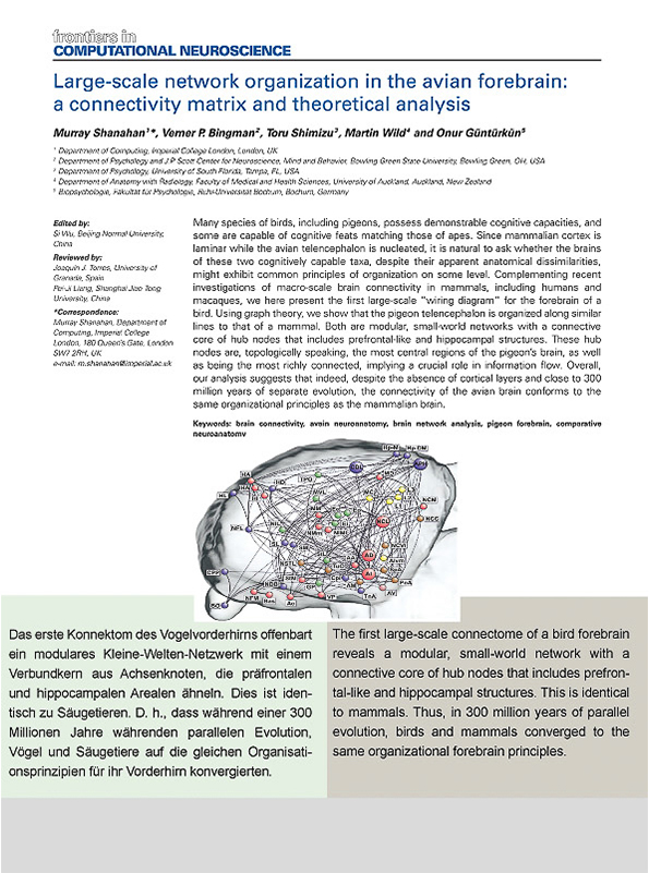 Biopsychologie 2013