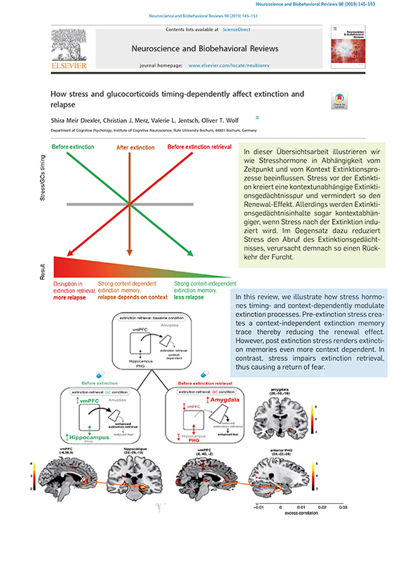 Kognitionspsychologie 2019