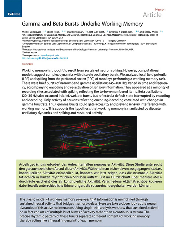 Neural Basis of Learning 2016