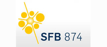 Logo SFB 874